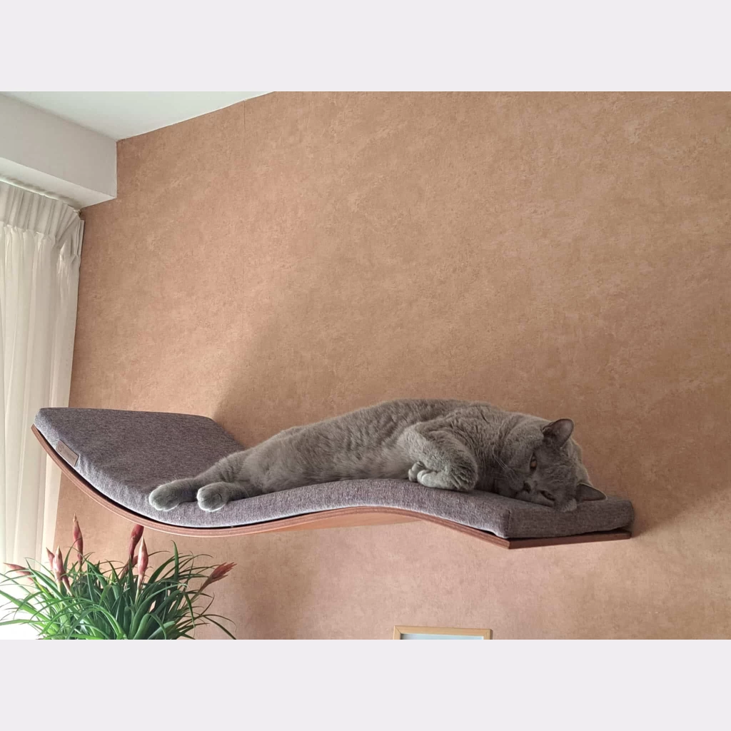 Afbeelding #1 van Dushi