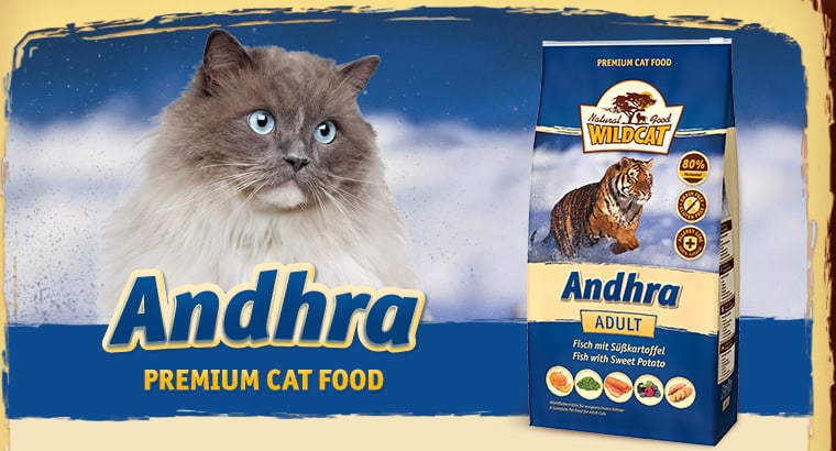 Vervolgen Verzwakken Malaise Wildcat Andhra kattenvoer Vis - Poezenparadijs