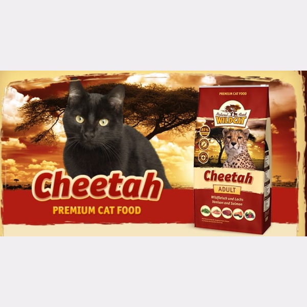 cheetah_katzenfutter