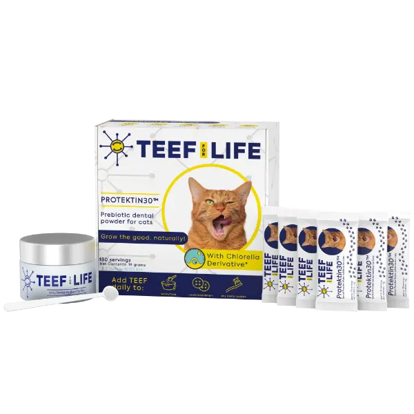 TEEF For Life Protektin30™ Prebiotisch Gebitspoeder voor Katten ...