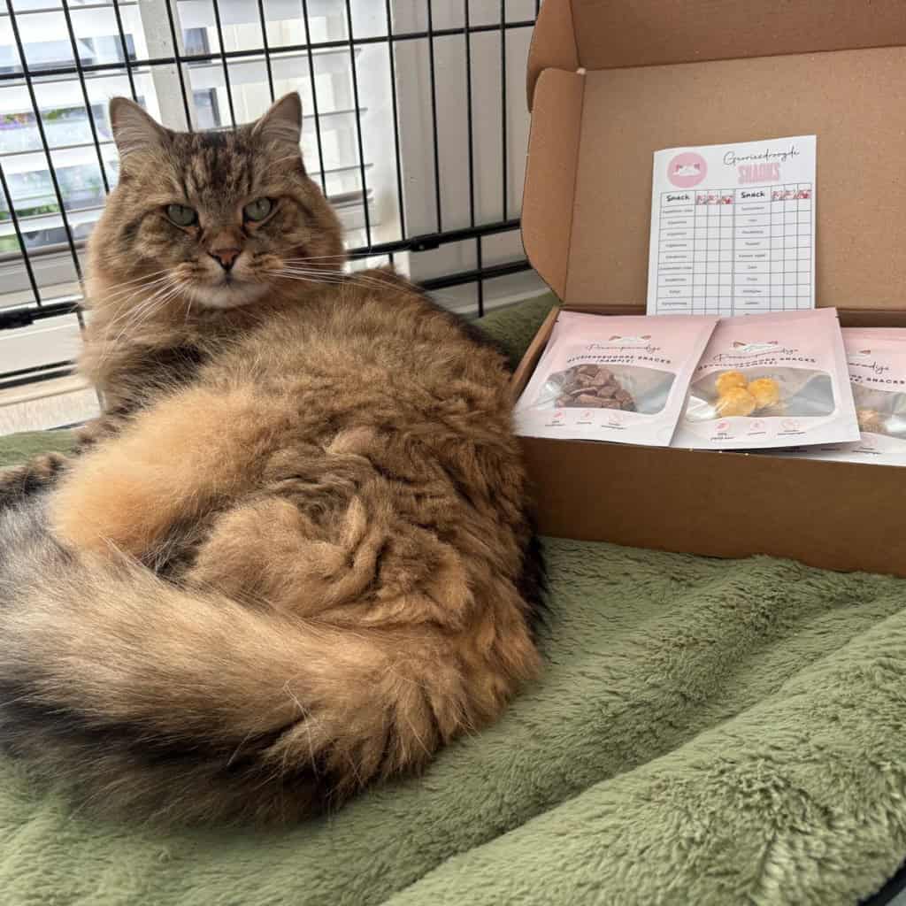 Afbeelding #3 van Jacqueline Schuit